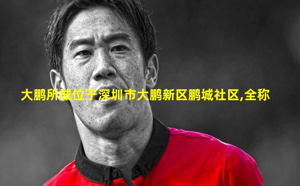 大鹏所城位于深圳市大鹏新区鹏城社区,全称