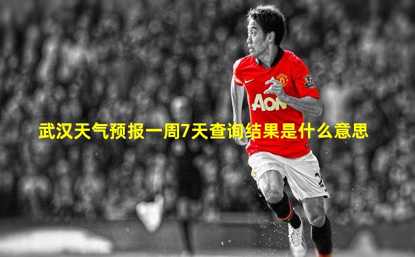 武汉天气预报一周7天查询结果是什么意思