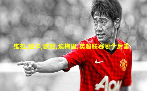 维拉,纽卡,欧冠,埃梅里,英超联赛哪个厉害