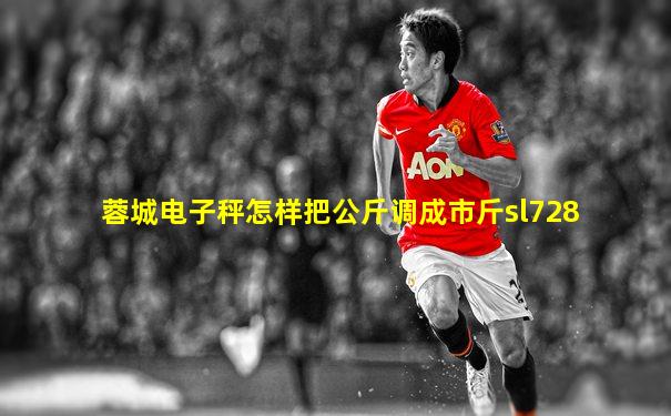 蓉城电子秤怎样把公斤调成市斤sl728