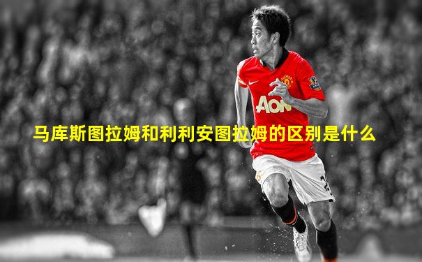 马库斯图拉姆和利利安图拉姆的区别是什么