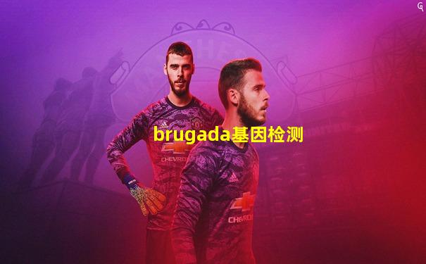 brugada基因检测