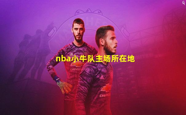 nba小牛队主场所在地