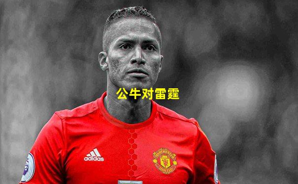 公牛对雷霆