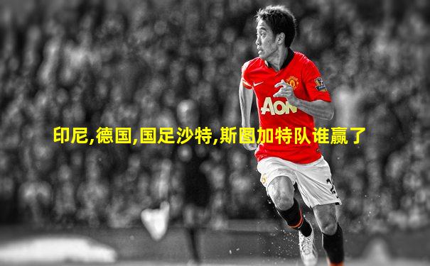 印尼,德国,国足沙特,斯图加特队谁赢了