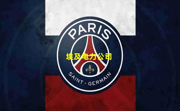埃及电力公司