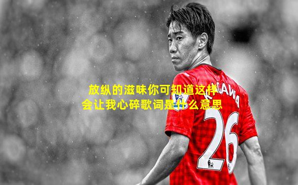 放纵的滋味你可知道这样会让我心碎歌词是什么意思