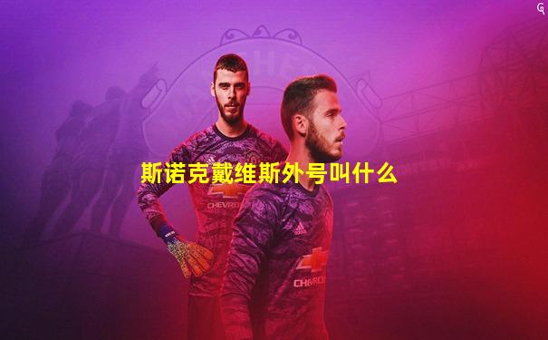 斯诺克戴维斯外号叫什么