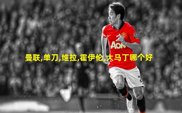 曼联,单刀,维拉,霍伊伦,大马丁哪个好