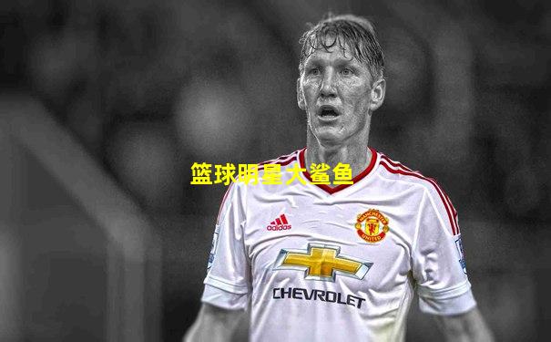 篮球明星大鲨鱼