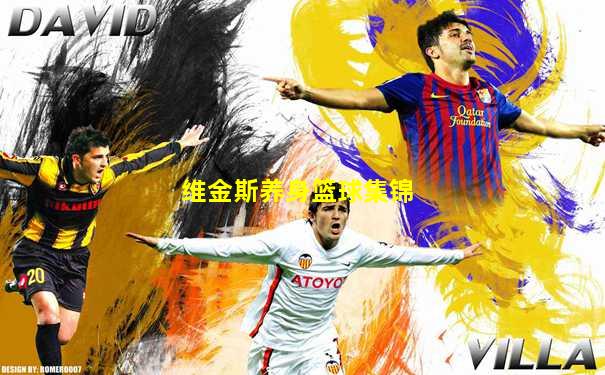 维金斯养身篮球集锦