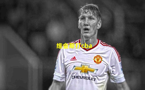 维金斯打cba