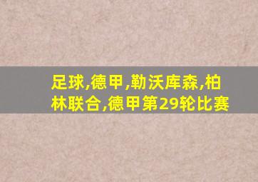 足球,德甲,勒沃库森,柏林联合,德甲第29轮比赛